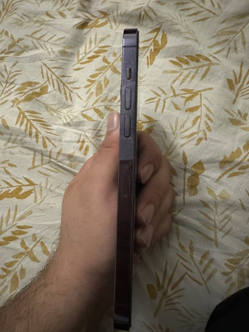 Apple iPhone 14 Pro Max 3