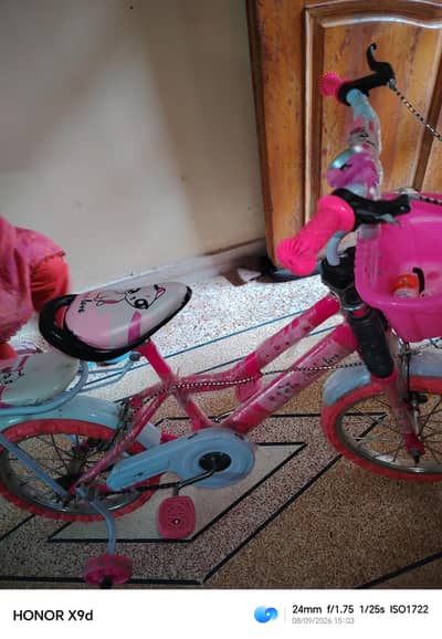 pink girl bicycle