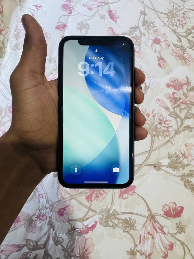 Apple iPhone 11 0