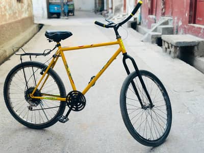 Phoenix Bicycle