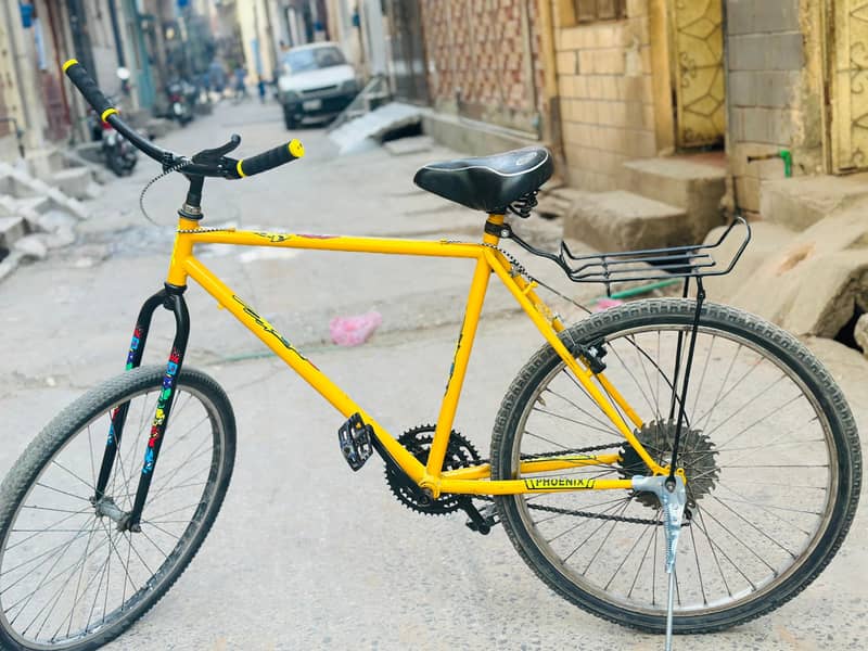 Phoenix Bicycle 1