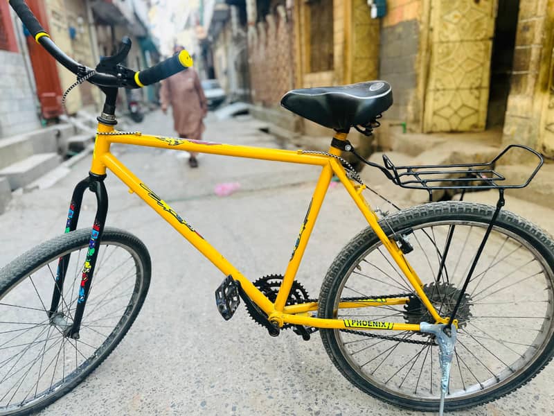 Phoenix Bicycle 3