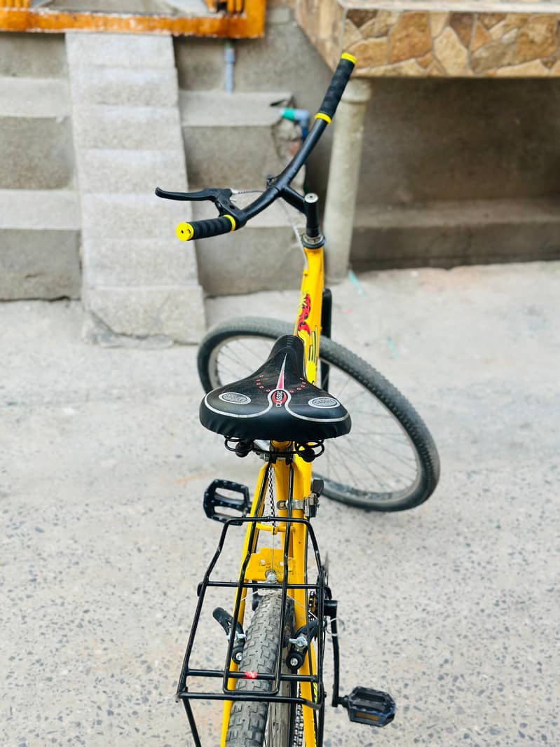Phoenix Bicycle 4