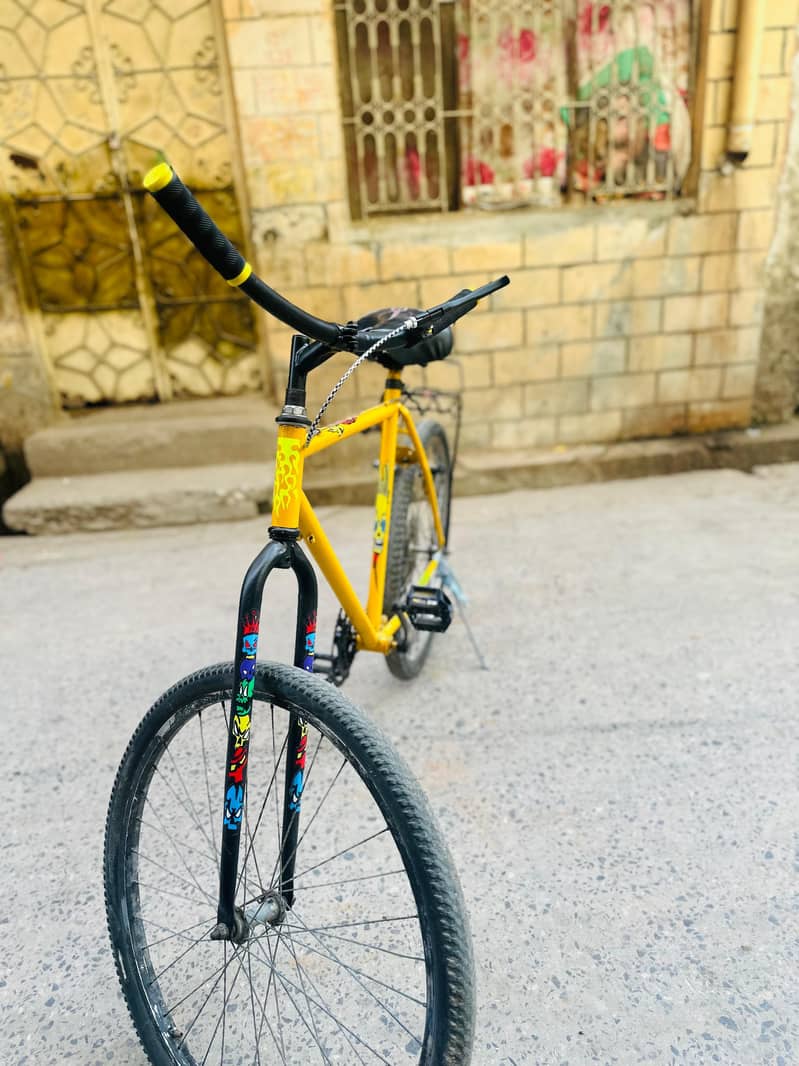 Phoenix Bicycle 5