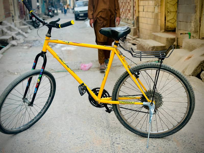 Phoenix Bicycle 6
