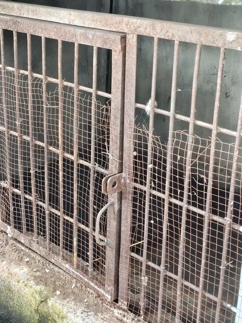 cagr door  for aseel iron lohy ka banay howy he bohat mazboot he — photo 5