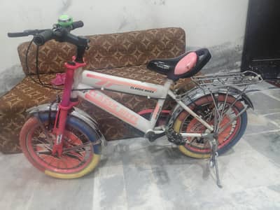 Bicycle in best quality