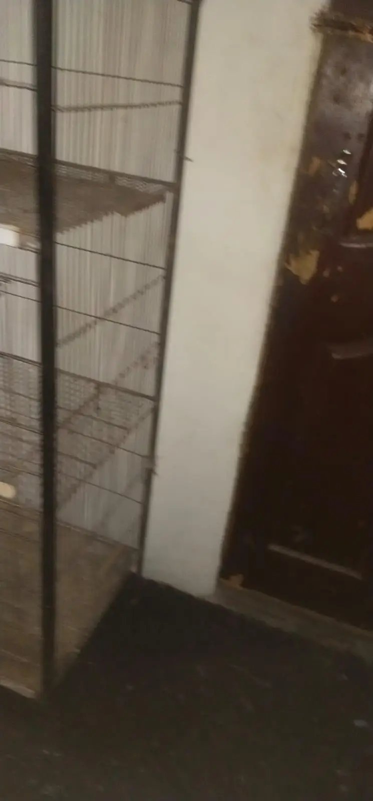 3 portion cage urgent for sale need cash — photo 4