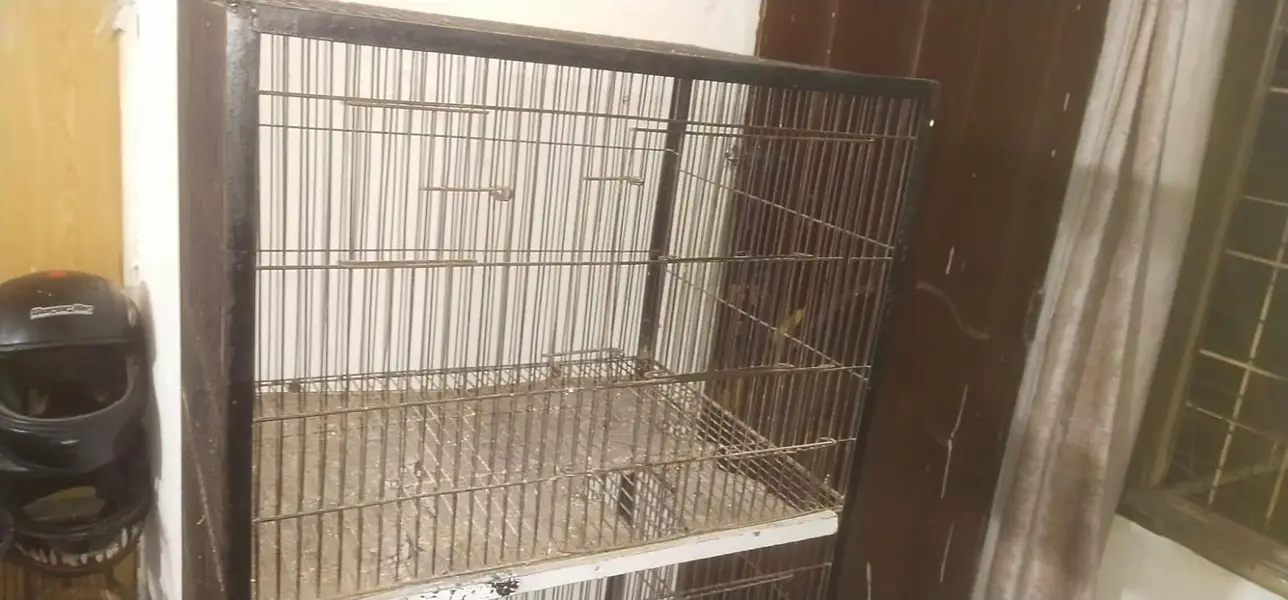 3 portion cage urgent for sale need cash — photo 5