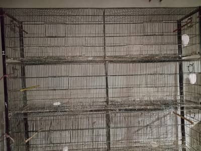 Jahangir cage $ Raw parrot cage