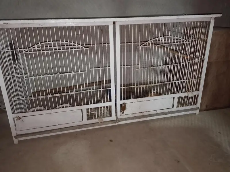 Jahangir cage $ Raw parrot cage — photo 7
