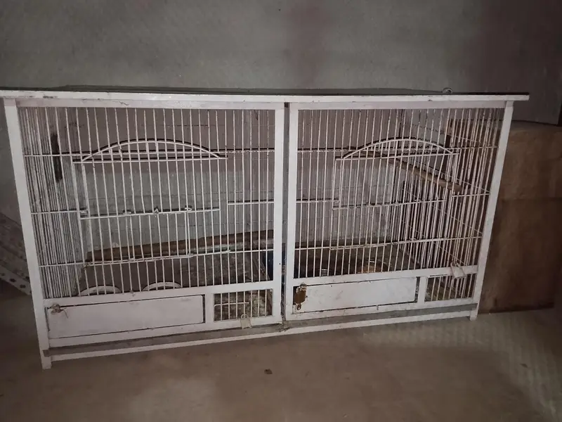Jahangir cage $ Raw parrot cage — photo 8
