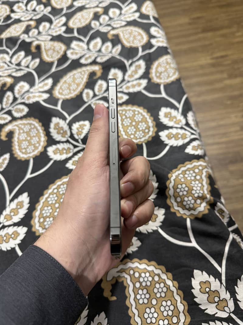 Apple iPhone 12 Pro Max 1