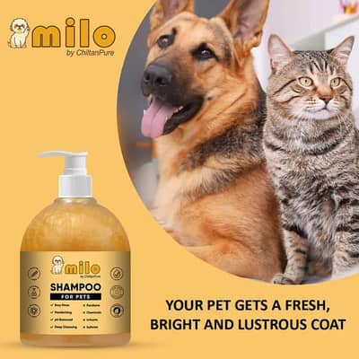 PETS SHAMPOO