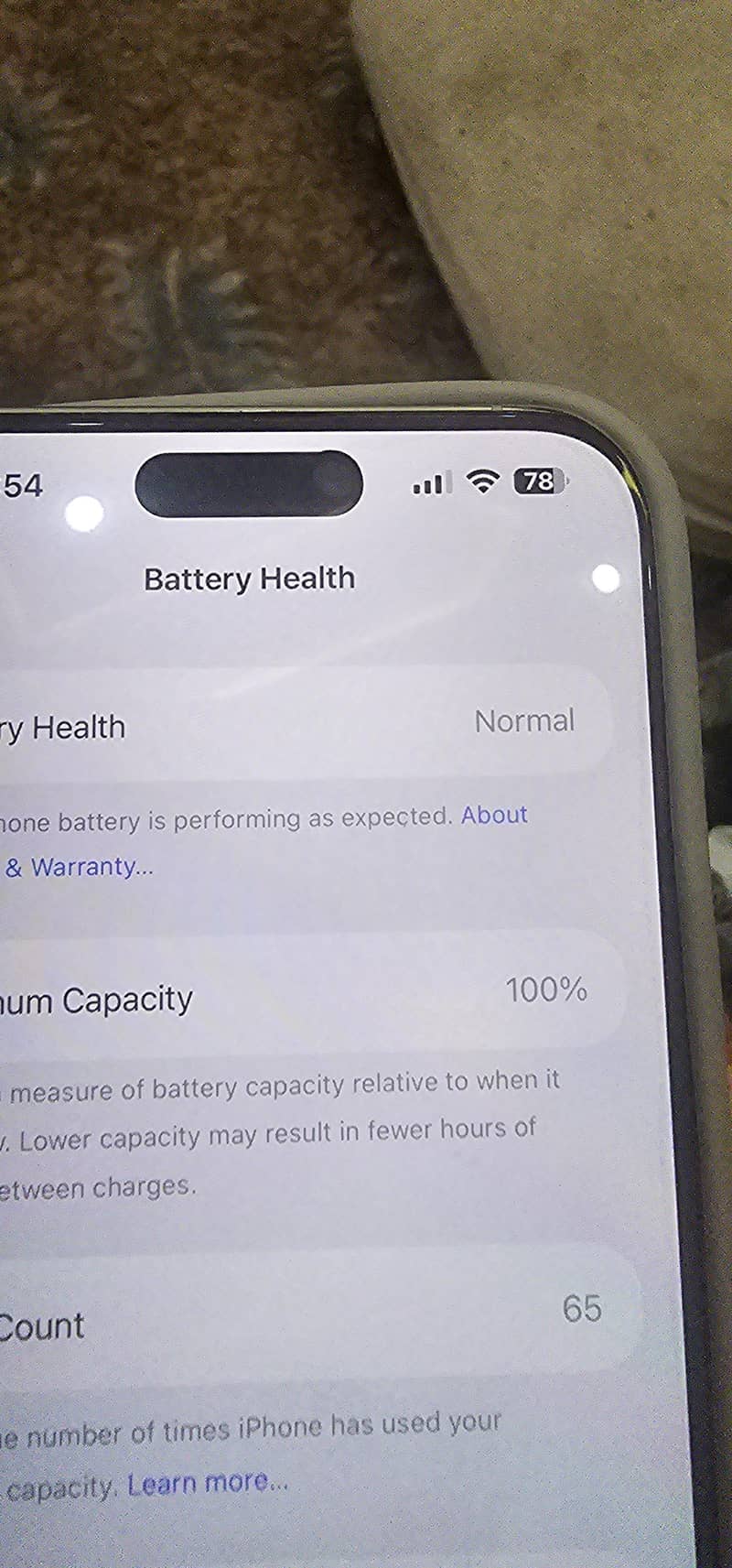 Apple iPhone 15 Pro Max 1