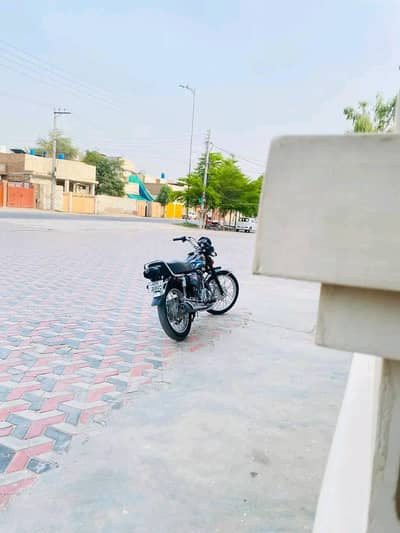 comfortable bike