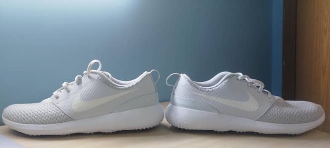 Nike Roshe G Platinum Gray/White