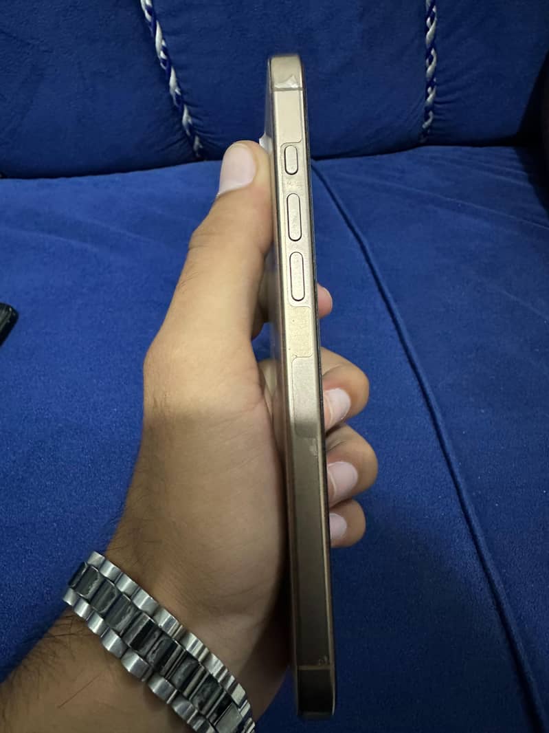 Apple iPhone 16 Pro Max 1