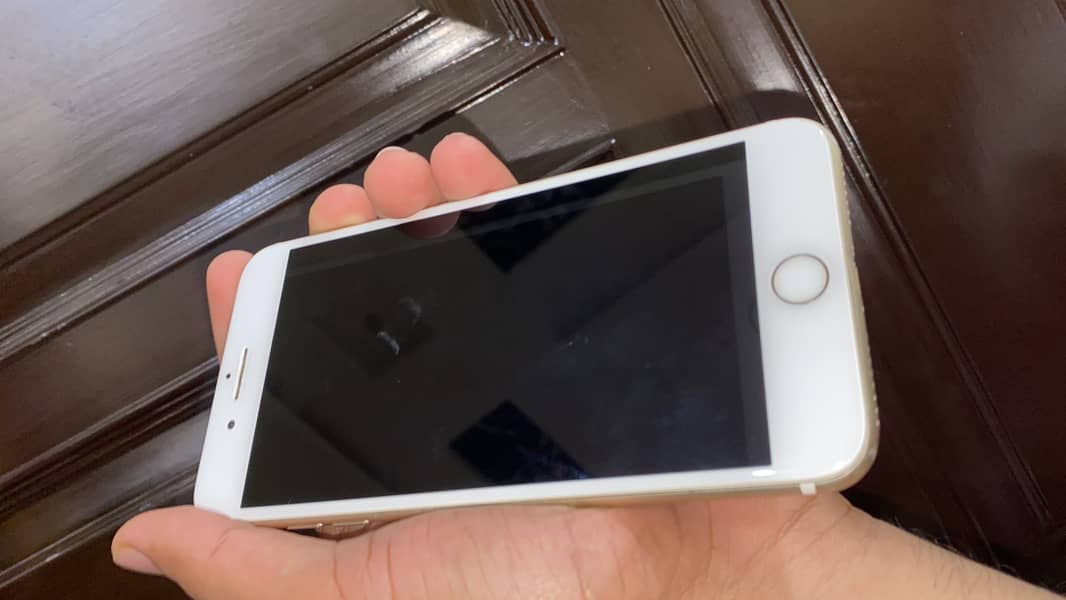 Apple iPhone 7 Plus 1