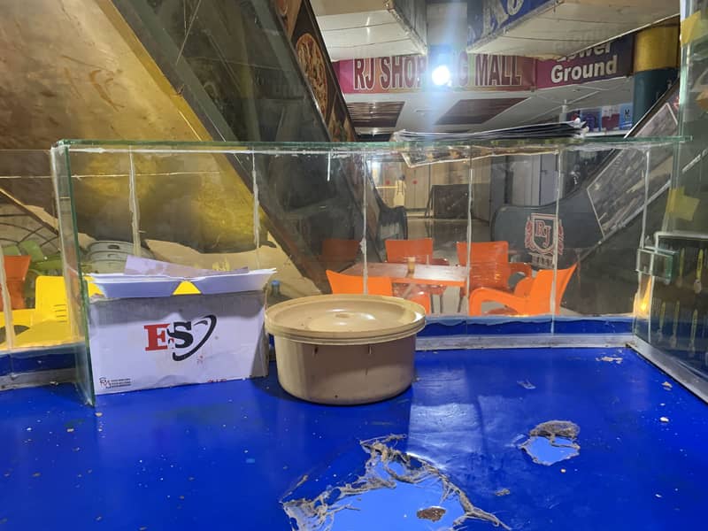 Shops counter 7