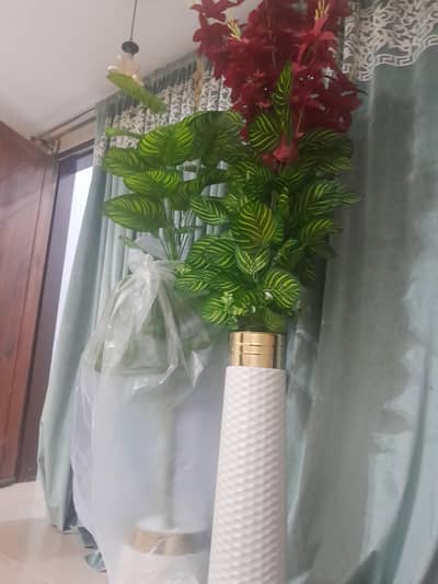 beautiful green and red flowers stand