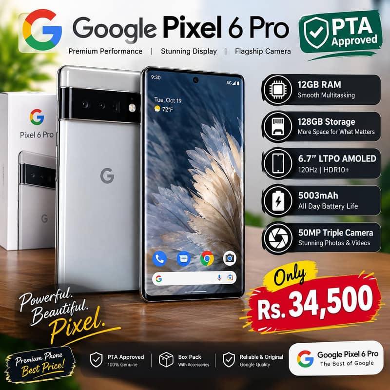 Google Pixel 6 Pro 1