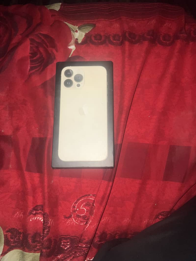 Apple iPhone 13 Pro Max 0