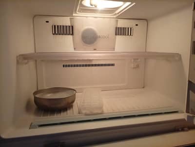 LG LARGE SIZE FRIDGE