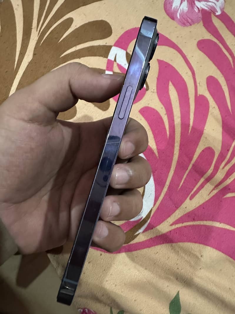 Apple iPhone 13 Pro Max 1