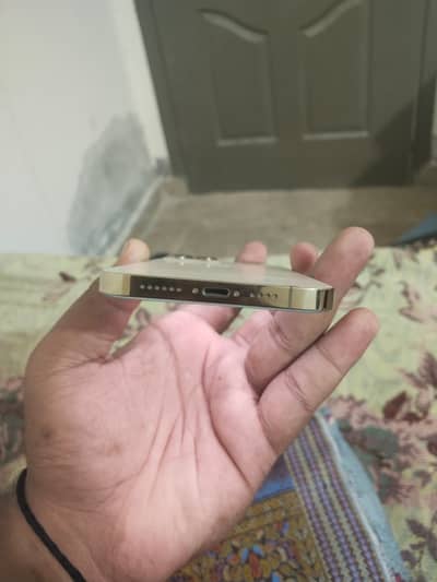 Apple iPhone 12 Pro Max