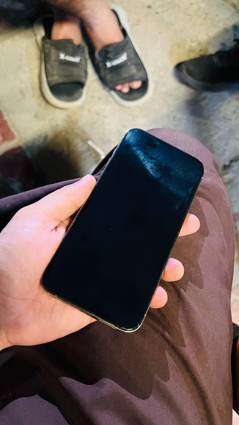 Apple iPhone 13 Pro Max 1