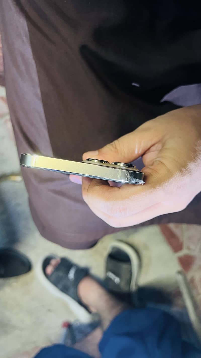 Apple iPhone 13 Pro Max 2