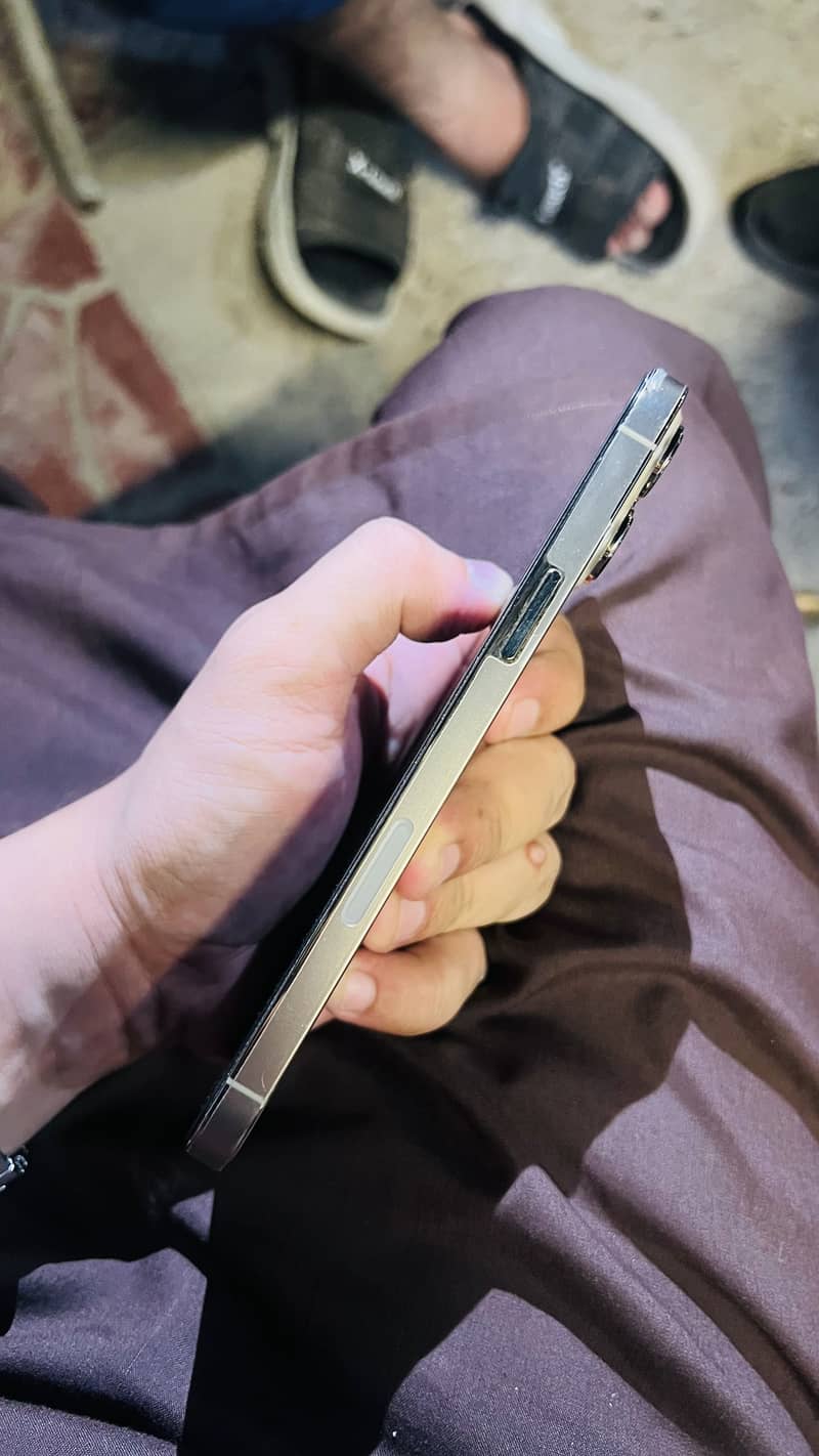 Apple iPhone 13 Pro Max 5