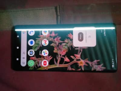 google pixel 6 pro pta ok finger nhe chal rha he panal
