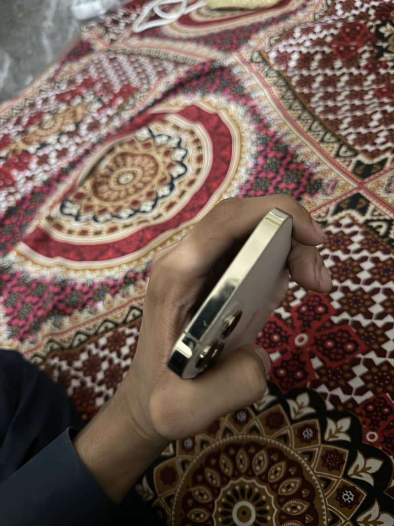 Apple iPhone 12 Pro Max 1