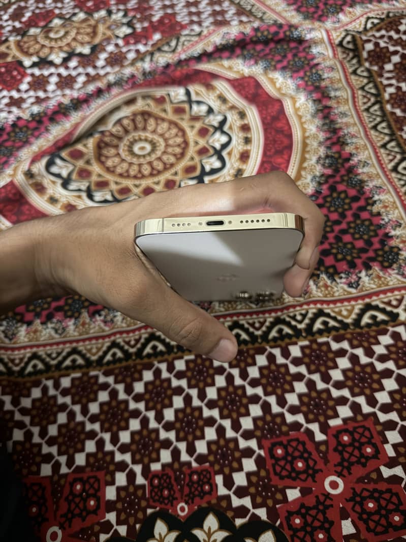 Apple iPhone 12 Pro Max 2