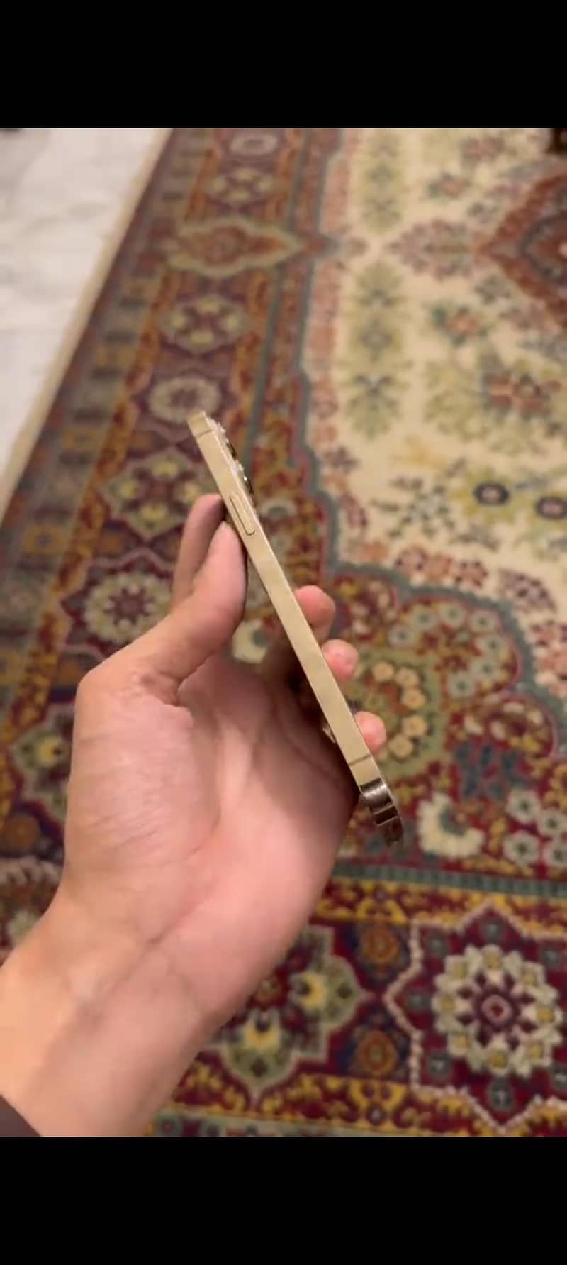 Apple iPhone 13 Pro Max 1