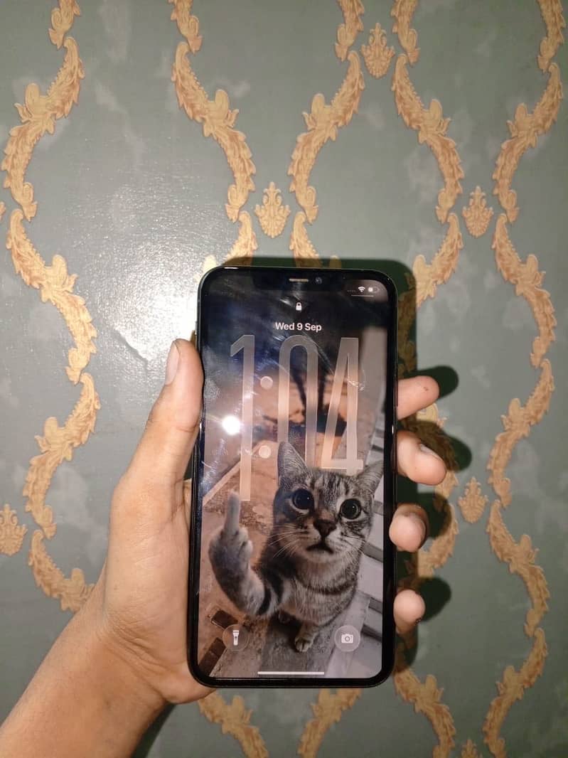 Apple iPhone 11 Pro Max 1