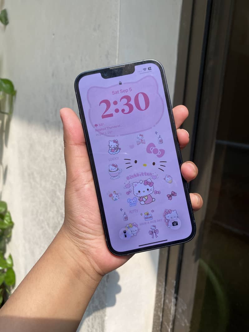 Apple iPhone 13 0