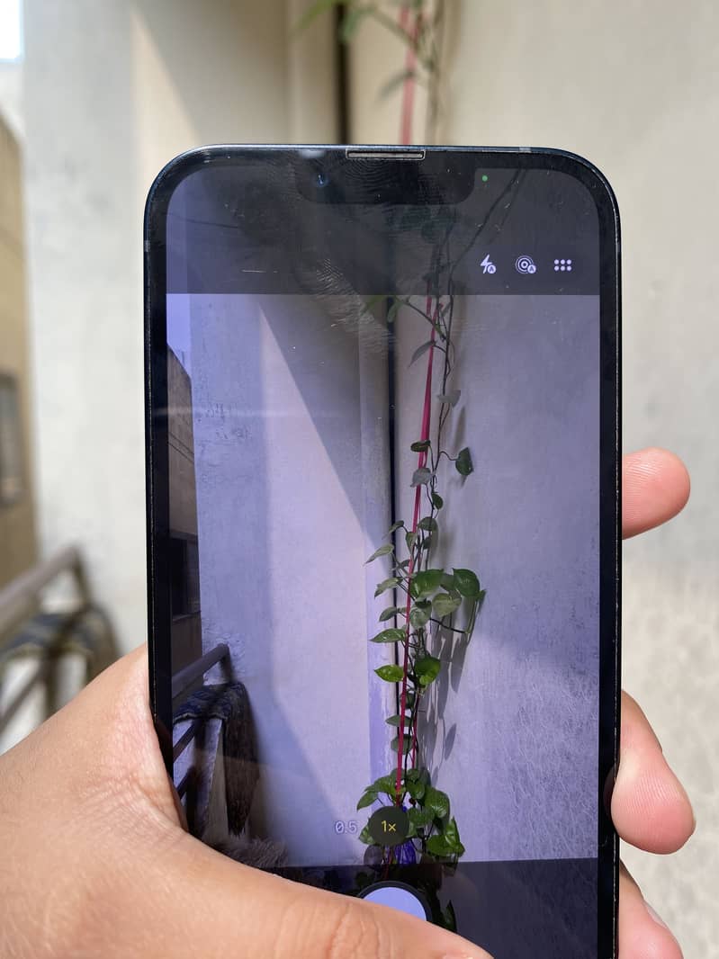 Apple iPhone 13 1