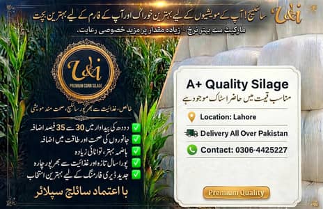 U&I Premium Makai Silage - 40KG Bag - Lahore