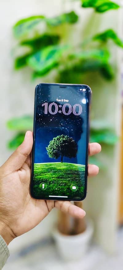Apple iPhone 11 Pro Max