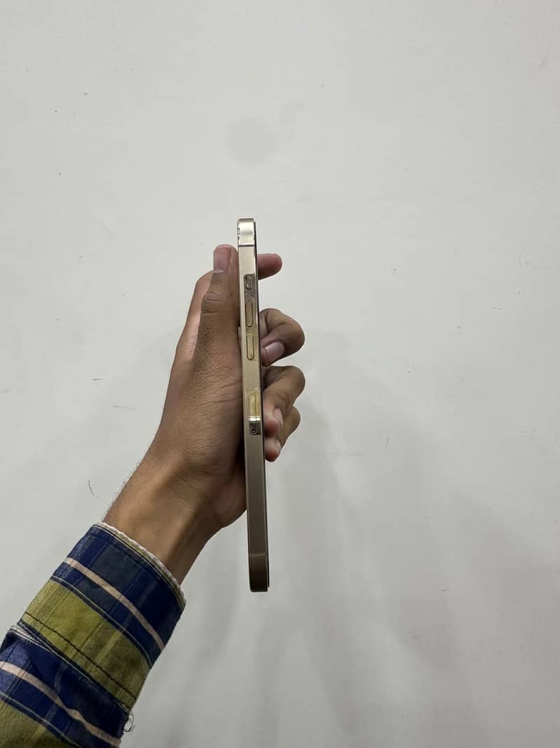 Apple iPhone 12 Pro Max 1
