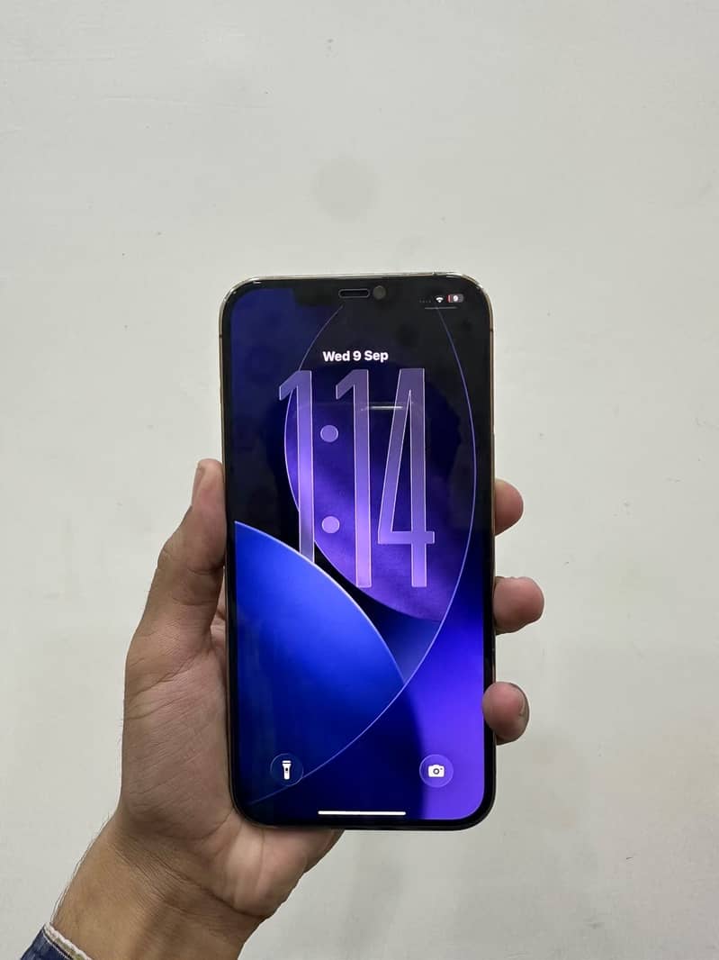 Apple iPhone 12 Pro Max 5