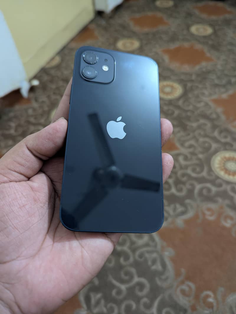 Apple iPhone 12 1