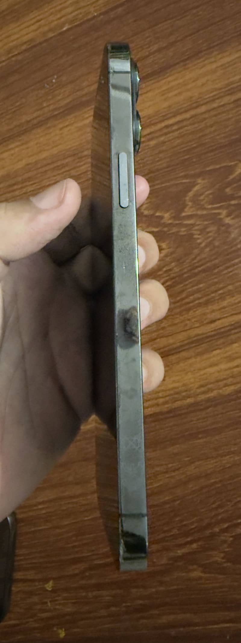 Apple iPhone 13 Pro Max 1