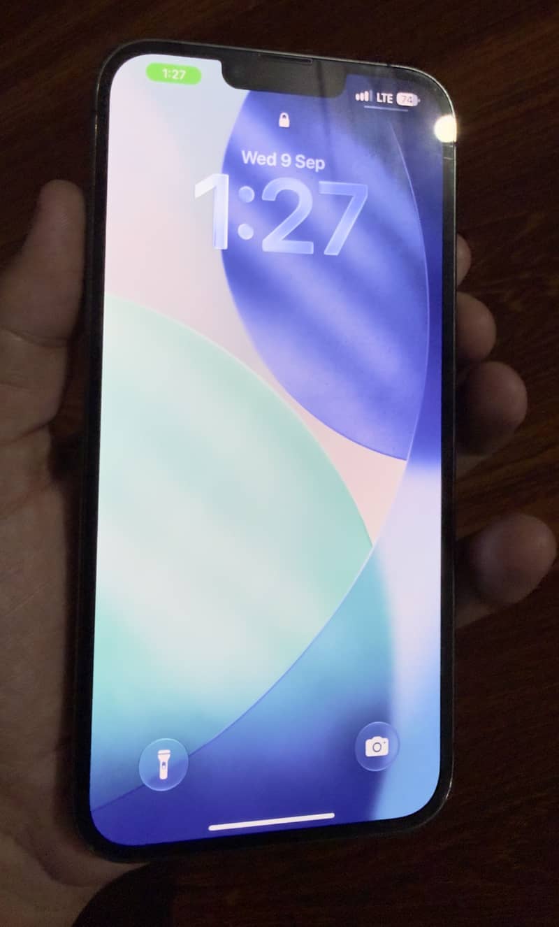 Apple iPhone 13 Pro Max 2