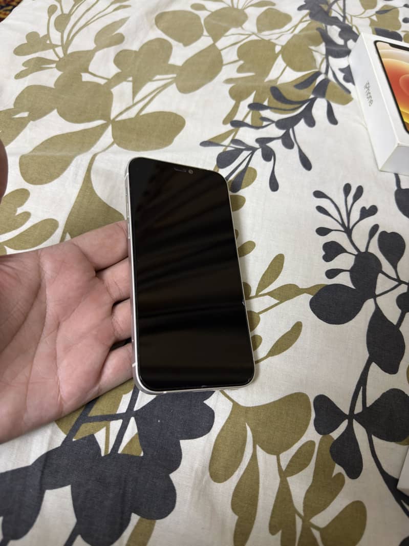 Apple iPhone 12 1