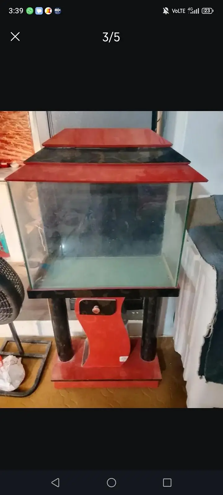 fish aquarium