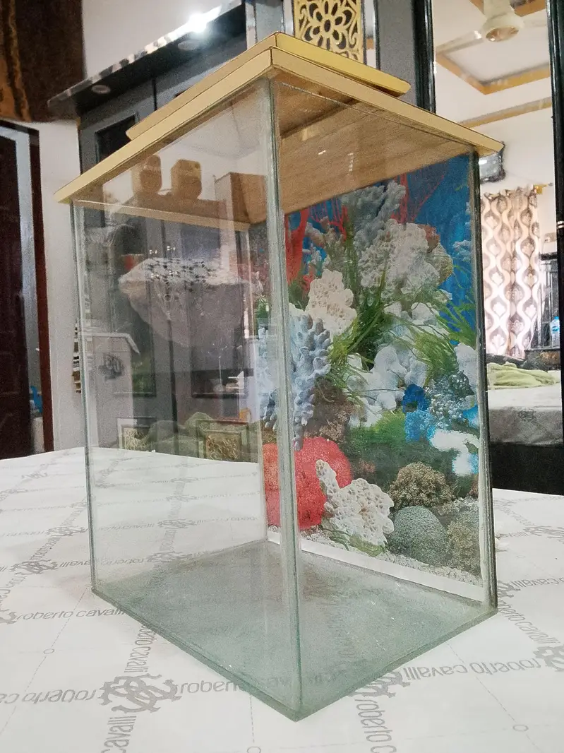 fish aquarium — photo 5